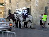 Malta 100